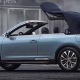 爱捣蛋王王王头像