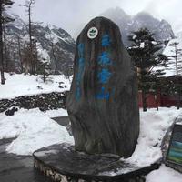 企划rot亿头像
