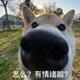 阿伟一直在呦 · 红旗HS5车主·车龄3年头像