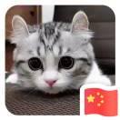 满心欢喜的个人资料头像