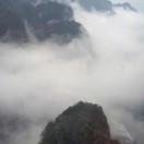 刘海迪的个人资料头像