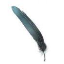 Ref酱的个人资料头像