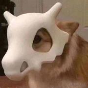 达比打比哒的个人资料头像