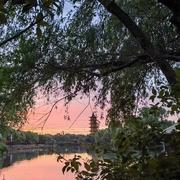 拼搏245的个人资料头像