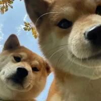 AMGᴸᙆ头像