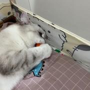 都给我早睡早起的个人资料头像