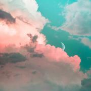 小次郎723的个人资料头像