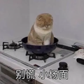 在家看大世界头像