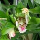 知圆的个人资料头像