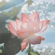 吉祥如意872的个人资料头像