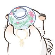 一口大米饭的个人资料头像