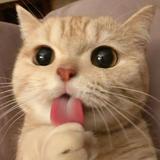用户3282146819185头像