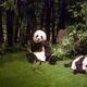 熊猫的一天570头像