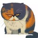 Halo同志的个人资料头像