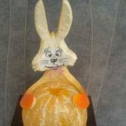 兴许的个人资料头像