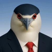 口教之王帕奇头像