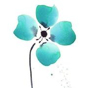 稻草人net的个人资料头像