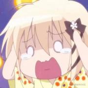 抹茶菜菜狗的个人资料头像