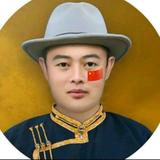 良丰村偉哥头像