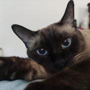 时不我与_的个人资料头像