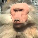 后海头像