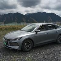 新疆贩卖焦虑头像