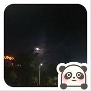 偏偏行的个人资料头像