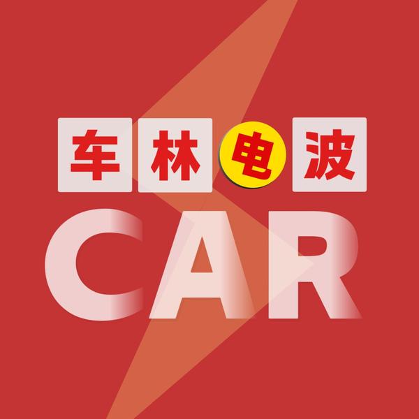 车林电波头像