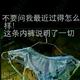 智慧卡尔8F0 · 红旗H9车主·车龄2年头像