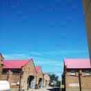 微星酱的个人资料头像