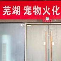 仁爱晚风4A9头像