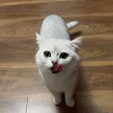 理想720头像