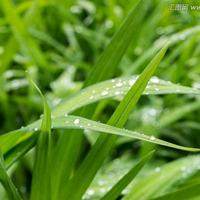 流畅无限看头像