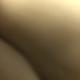 执着的轮船DN头像