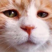 schroep的个人资料头像