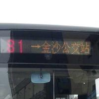 哈哈81路公交头像
