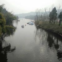 FOCA-猛如虎头像