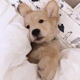 用户2722559847248头像