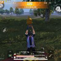 4588ffcc头像
