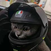 雾失楼台l的个人资料头像