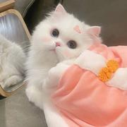 Jacqueline916的个人资料头像