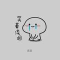 南方的轩轩头像