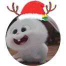 大土豆丶的个人资料头像