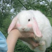 王不喜的个人资料头像