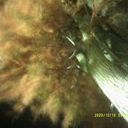 用户5561734615743的个人资料头像