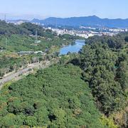 plug的个人资料头像