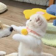 墨染542的个人资料头像