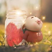 sunshine870的个人资料头像