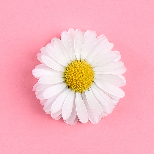 勇者书签Qbezc头像