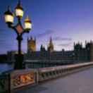 cntsw的个人资料头像